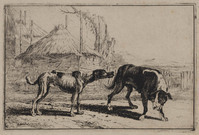 TvB G 1150
<br/>
Twee honden
<br/>
<em>Hecke, Jan van den (1620-1689)</em>